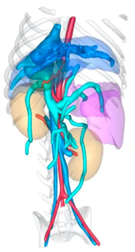 3D reconstruction image for the Jiang Tangdou veterinary case